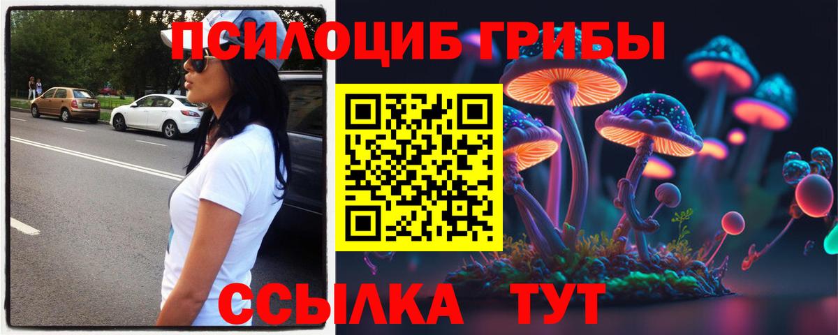 Юрга  Псилоцибиновые грибы Magic Shrooms  закладка  Вход с VPN  Псилоцибиновые грибы ЛСД 